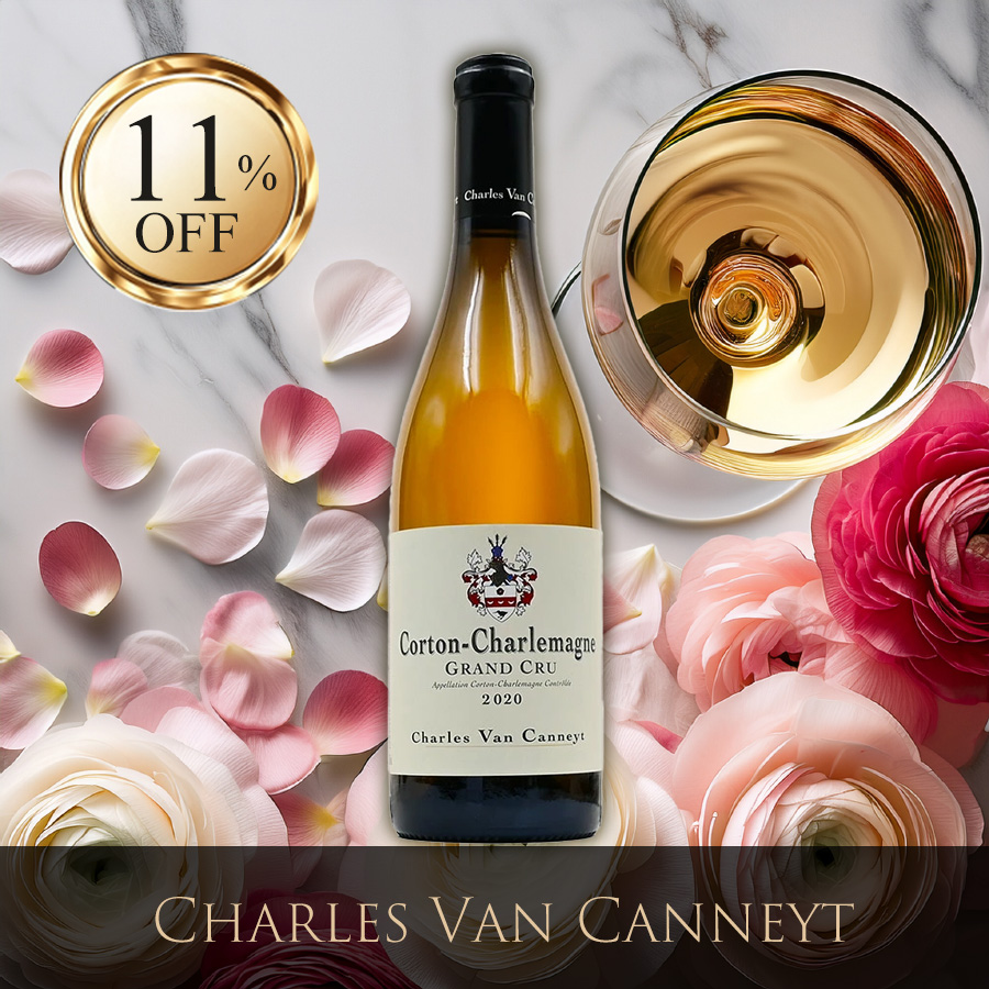 ファーストビュー