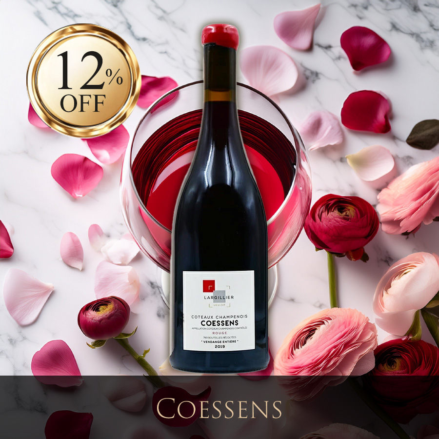 ファーストビュー