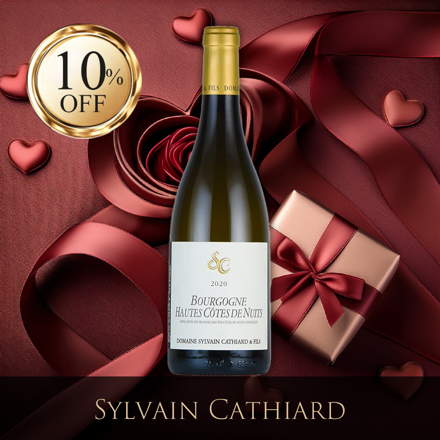 ファーストビュー