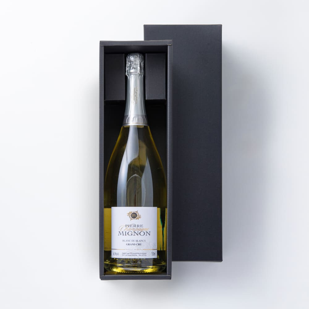 ファーストビュー