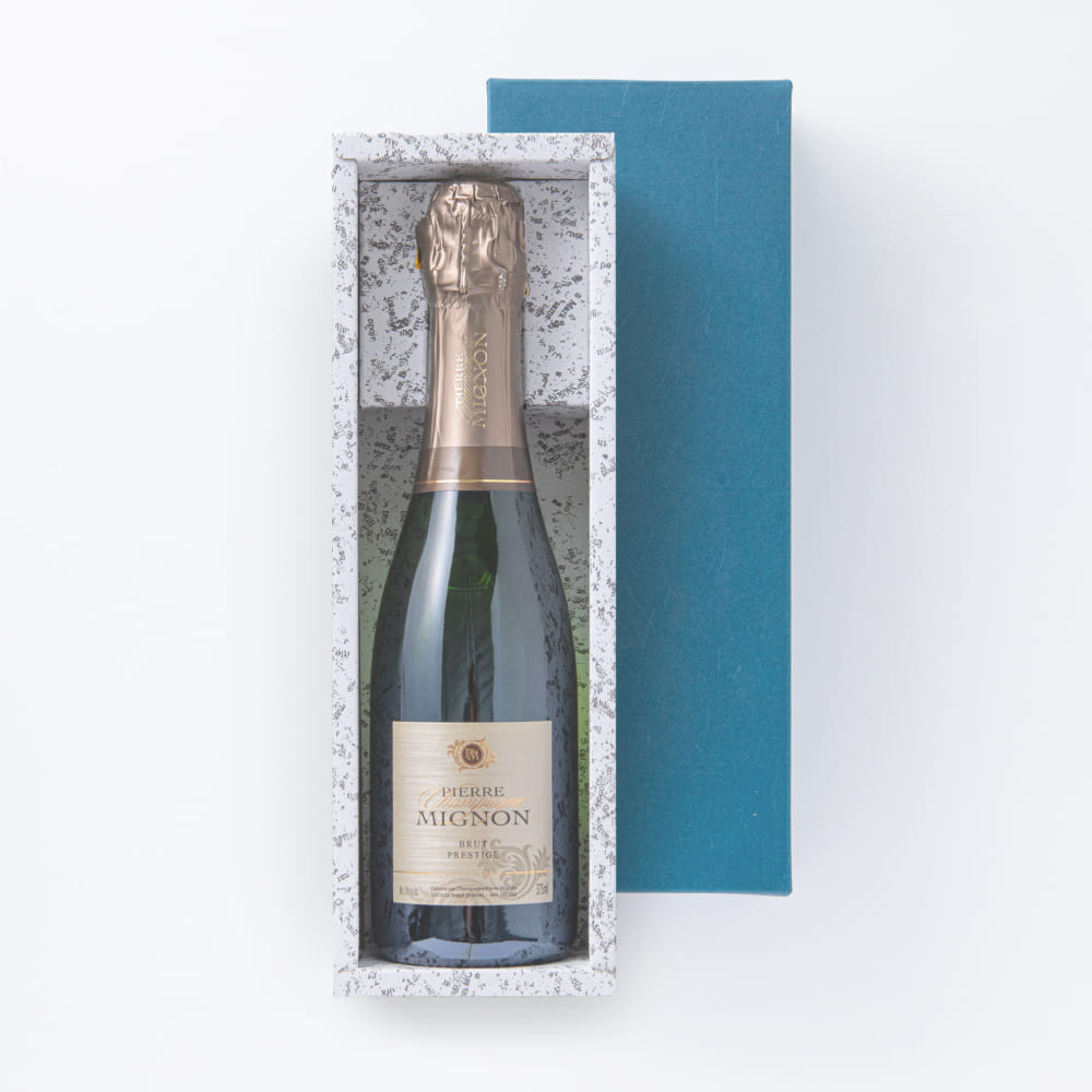 ファーストビュー