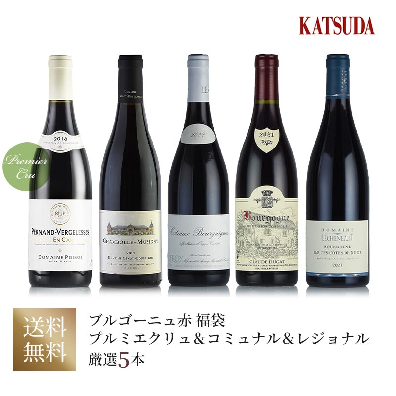 《高品質なブルゴーニュ赤 厳選5本》ドゥニ バシュレ、クロード デュガ、グロ フレール エ スール 他 福袋	