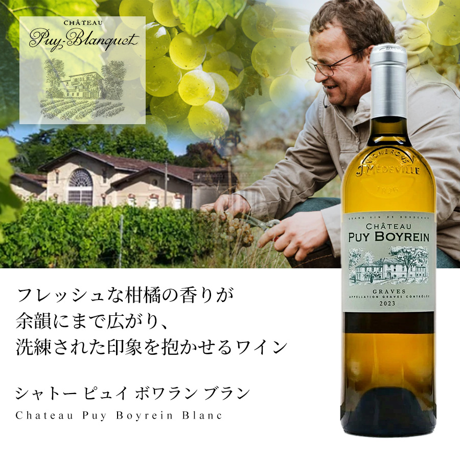 ファーストビュー