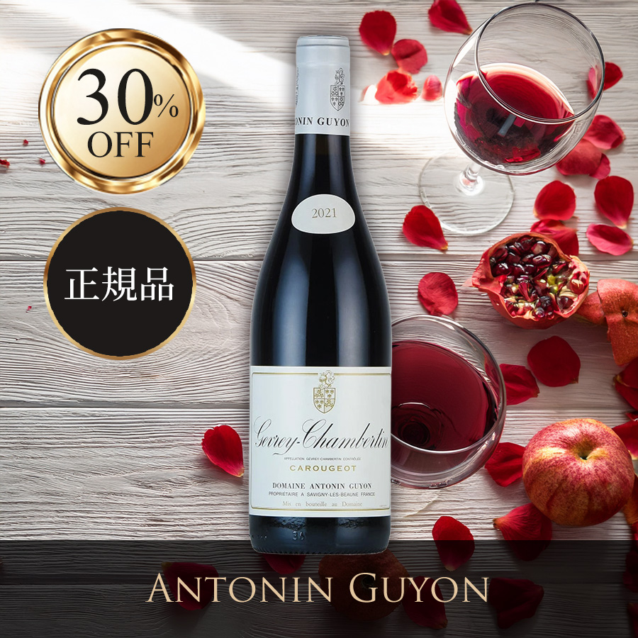 ファーストビュー